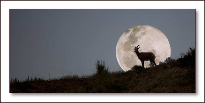 Digital Photography & Photoshop 2